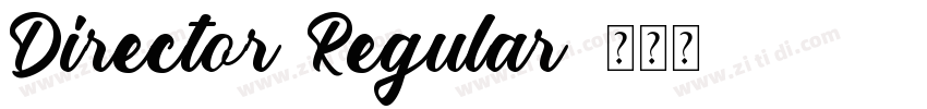 Director Regular字体转换